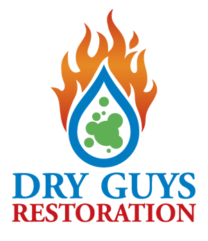 dry-guys-restoration-logo-sized-transparent-background