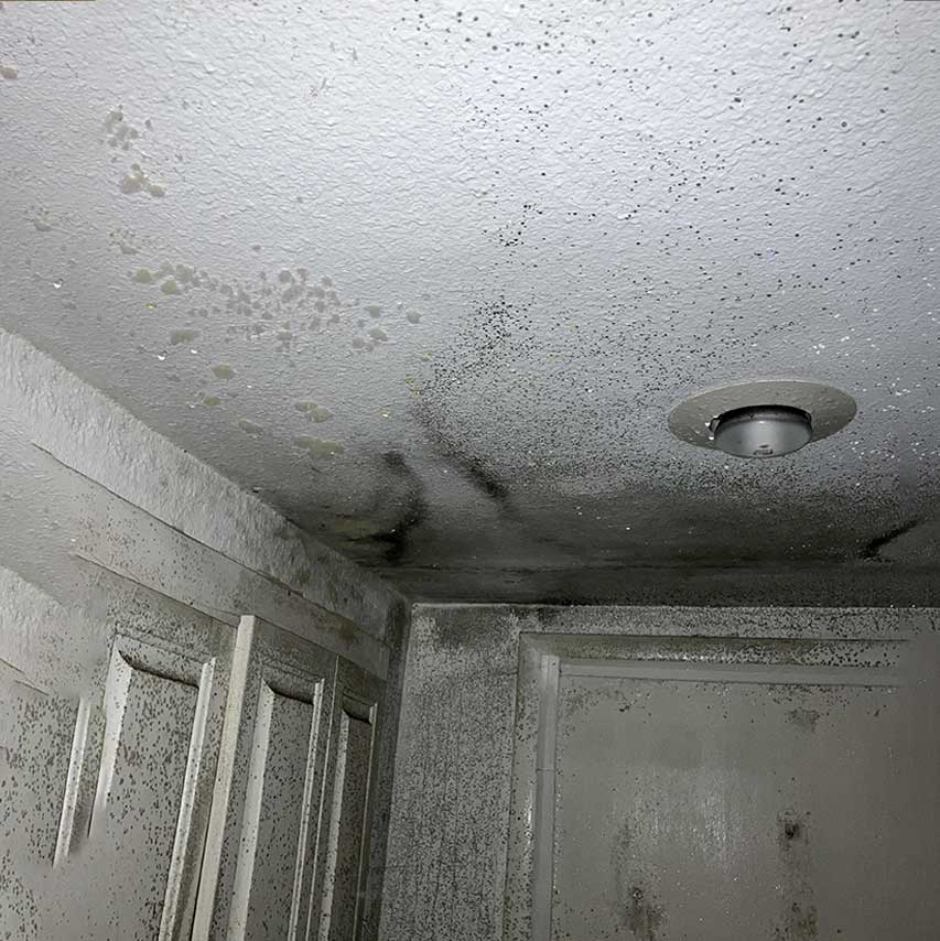 mold-remediation-contaminated-ceiling-dry-guys-restoration