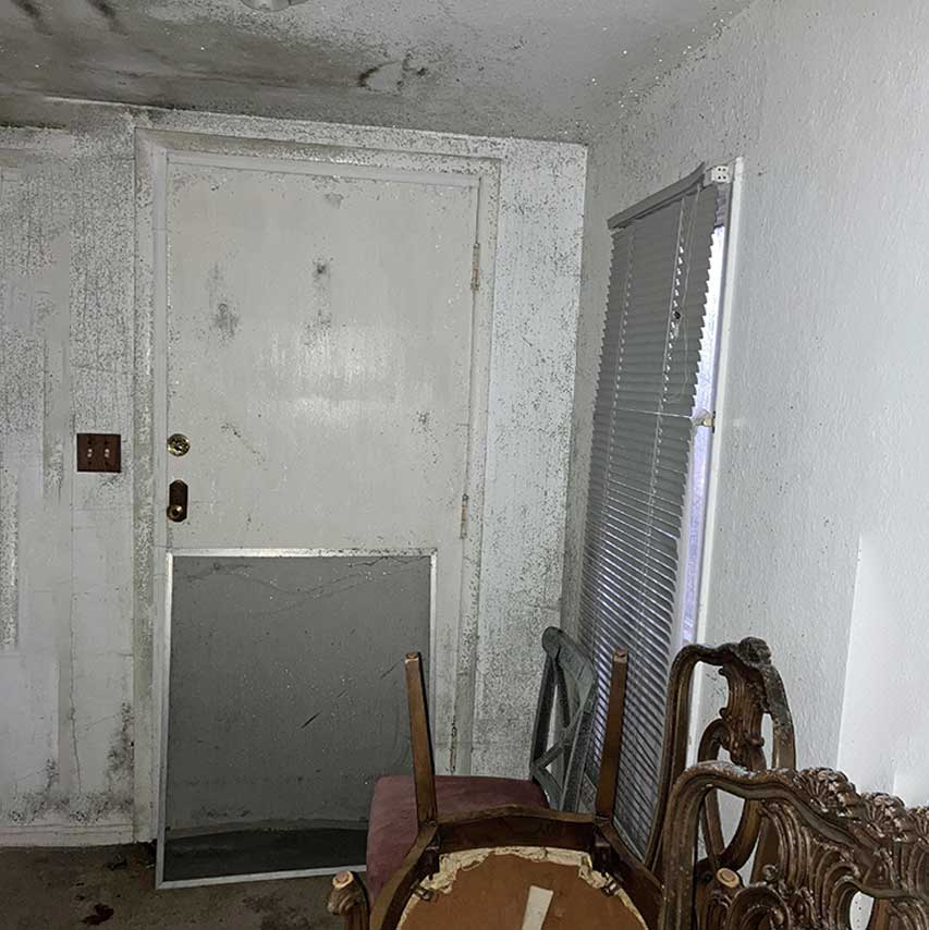 mold-remediation-living-room-dry-guys-restoration