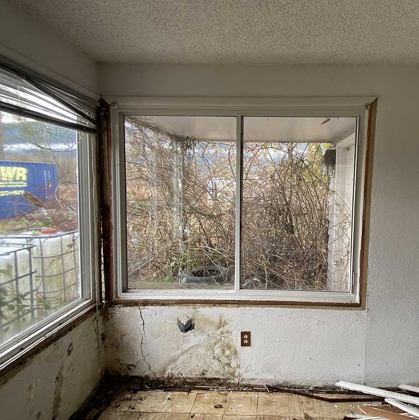 mold-remediation-window-in-house-dry-guys-restoration
